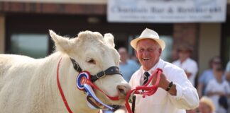 Royal Welsh cattle competition sees Radio 2 presenter Sara Cox as guest judge fa5259c6 3562 6e96 a84d ef9fea35a261 min scaled