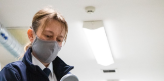 Two in three adults call for mandatory cat microchipping in Wales image 23