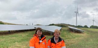 Joyce visits Dragon LNG on women in engineering day image004 min
