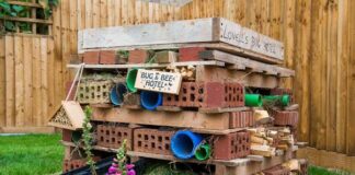 Newport developer shares top tips for making gardens more wildlife friendly this Garden Wildlife Week image026 min