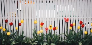 THIS SIMPLE DIY TASK COULD SAVE YOU THOUSANDS pexels kristina paukshtite 701758