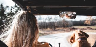 Congratulations! You’ve Finish Your Driving Assessment. You Ought to do Now this pexels toni tan 5864424 min