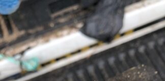 Palm oil warning to dog owners picvieworiginal 2 rotated