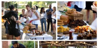 The unstoppable rise of the BBQ garden party – through COVID and cost of living. webversion