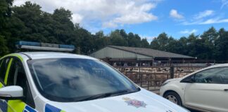 Rural crime prevention 362647338 681033557397680 6997980254052418888 n