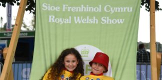 Best of Welsh on display at the 102nd Royal Welsh Show 6b88338e 667e 6d07 62ac 5da8c5c9604e min scaled