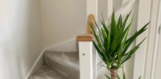 Interior experts share how to incorporate the urban jungle trend into your home @the.rendered.one min