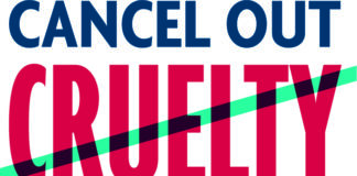 New figures reveal 1,072 cat cruelty reports made to RSPCA in Wales last year Cancel Out Cruelty