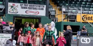 Aberystwyth Town Women seek more mascots! Mascots TNS 1