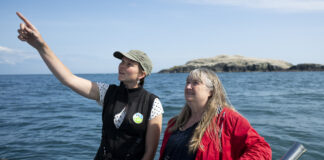 HPAI: Minister visits Pembrokeshire islands as concern over wild bird flu outbreak grows Minister for Climate Change Visits Grassholm scaled
