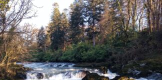 Save The Teifi Group Holds Community Discussion River Teifi