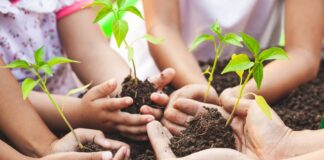 Ariannu dyfodol byd natur: Ailagor cynllun grantiau bach Gweithredu dros Natur SMALLForce for Nature photo