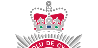 Carmarthen man sentenced for offences under the Malicious Communications Act South Wales Police badge.svg