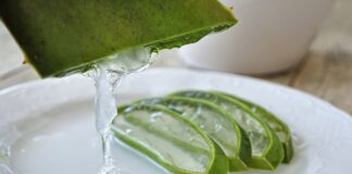 Home remedies – How to treat bites and stings aloe g8f2e76f94 1280 min