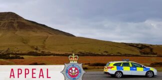 Police appeal following collision appeal