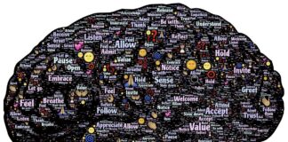 World Wellbeing Week 2023: Reading’s key role in wellness brain g2234d4987 1280