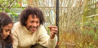 Mini-wetlands: Make a big splash for nature campaign release cIza2rpg