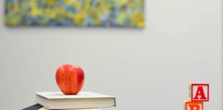 WELSH TEACHERS REVEAL THEY DON’T WANT FLOWERS OR CHOCOLATE AS A THANK YOU GIFT THIS YEAR element5 digital OyCl7Y4y0Bk unsplash min scaled