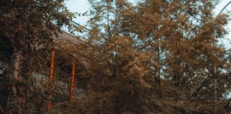 POTHOLES CAUSING MORE CAR BREAKDOWNS pexels kamshotthat 8687577 min