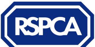 Mandatory CCTV regulations laid before Senedd following RSPCA campaign 1024px Rspcalogo.svg