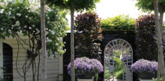 Glass experts urge Brits to be careful with garden furniture ahead of heatwave 9efdbafa 28d2 4a43 8a02 b35bce5ab78b