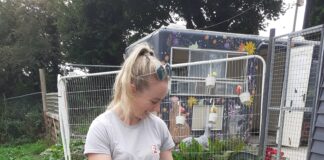 Merched Tref Aberystwyth a Cariad – pâr perffaith! Ffiona Evans with Cariad and Toby min scaled