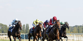 Great Western Railway partners with Newbury Racecourse in Olly Murs raceday giveaway Newbury races scaled