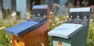 Nod y Llwybr Blychau Barddoniaeth yw ysbrydoli pobl i ysgrifennu cerddi eu hunain am fyd natur Poetrybox2 min