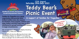 TEDDY BEAR’S PICNIC AND CLASSIC VEHICLE DISPLAY AT CYNHEIDRE IN SUPPORT OF TEDDIES FOR TRAGEDIES UTBP00 Poster