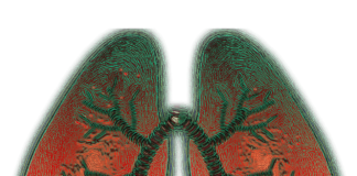 Charity report shines a spotlight onto the divide between rich and poor in Wales lung 4051083 1280 min