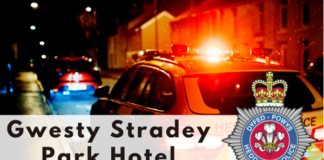 Update on police action in relation to the protest at the Stradey Park Hotel in Furnace, 24 August 2023 microsoftteams image