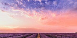 Seven stunning destination dupes to visit this summer for less pexels david bartus 1166209