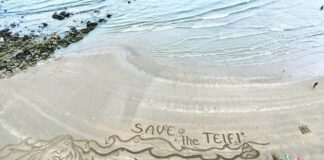 Save The Teifi Walk To Raise Awareness save the teifi walk