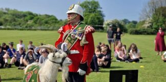 Children from Across 13 Local Authorities in Wales have been put through their paces by the team of Military Veterans at Forces Fitness! ssce 2023 6