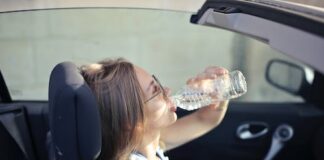 Stay cool in the car this summer to avoid hefty fines 7f63dace bf0f 4ae5 9da1 3e064d3af569