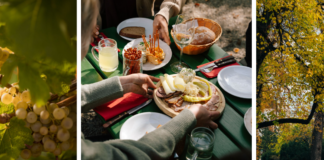 Sipping on Sturm: Final few weeks to enjoy this Viennese speciality 7fc5c512d7a07bc1ebbd64b1b9f3b36b45def44c