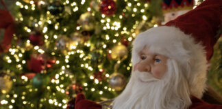 It’s beginning to look a lot like Christmas at Carmarthen Garden Centre BGC Santa