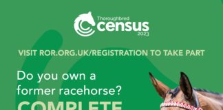 West Wales stables open their doors in celebration of National Racehorse Week FTdU3hfQ scaled