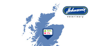 62% of pet owners surveyed in Wales care more about their pet’s wellbeing than their own JVP wellbeing table wales