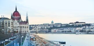 Stay on the right side of the law: European road rules all motorists should know pexels andrea piacquadio 789614