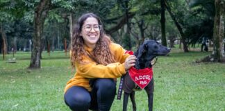 Adopting a pet will save you £1,296 compared to buying from a breeder pexels barbara reis 16614830