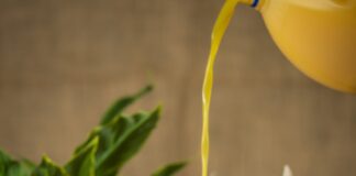 Could CBD drinks could help you complete sober October? ‘CBD drink’ searches skyrocketing 695% in the UK in the past week… pexels binoid cbd 3612182