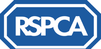 RSPCA Cymru Welcomes ‘Landmark’ Regulations For Animal Welfare Regulations rspcacymru logo stacked cmyk 2