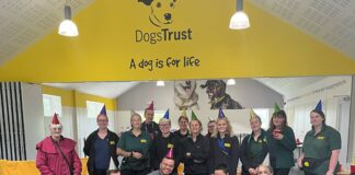 OLDEST EVER RESCUE DOG CELEBRATES GOTCHA DAY ANNIVERSARY ty group min scaled