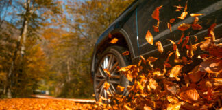 Autumn leaf fire warning for motorists 50f7d885 6773 412c 9d68 56f5a74e8c30