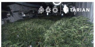 63 people arrested and drugs worth over £3.15 million seized across southern Wales region in the latest county lines intensification week CLIW Oct 23 Image 2