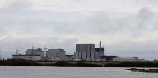 Letter to the Editor Dungeness Nuclear Power Station UK 2012