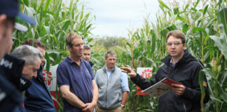 Pre-harvest tests indicate maize is on track to produce a promising crop Limagrain maize testing 1 2192023 0082 @300