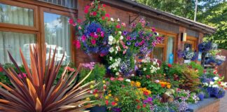 The Caravan and Motorhome Club announces 2023 winners of its Sites in Bloom, Sites to Inspire and Sustainability Chairman’s Awards Pembrey Site in Bloom Pic1 2 min scaled