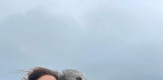 Dog Expert’s top tips for taking pets away this half term e2dd57c3d1cf1996f13ef60db07f8537a82975f1